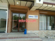 Интернет-магазин - Codex Fight Gear