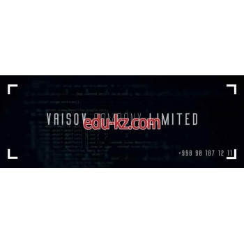 IT-компания - Vaisov Company Limited