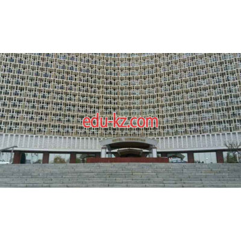 IT-компания - Asian Oculus Technology