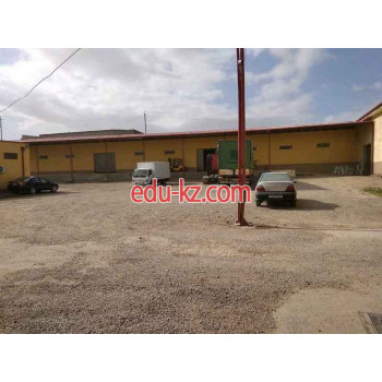 Таможенный склад - Зона таможенного контроля Таможенный склад - Зона таможенного контроля