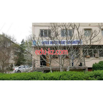 Организация аукционов и тендеров - Консалтинговая компания Inter investment consulting Организация аукционов и тендеров - Консалтинговая компания Inter investment consulting