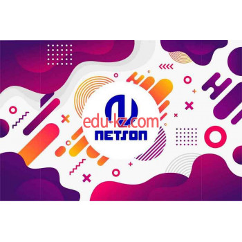 Интернет-маркетинг - Netson