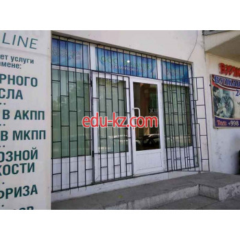 Таможенный брокер - Alsanur