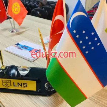 Маркетинговые услуги - Lns international