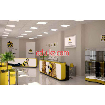 Интернет-провайдер - beeline Biznes СП