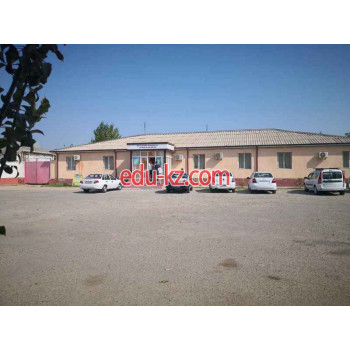 Госавтоинспекция - Госавтоинспекция Сырдарьинской области