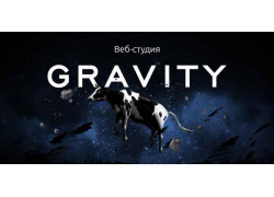 Интернет-маркетинг - Gravity Веб-Студия