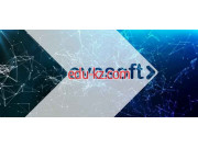 IT-компания - Evosoft Solutions