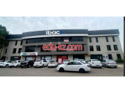 Аудиторская компания - International business audit consulting