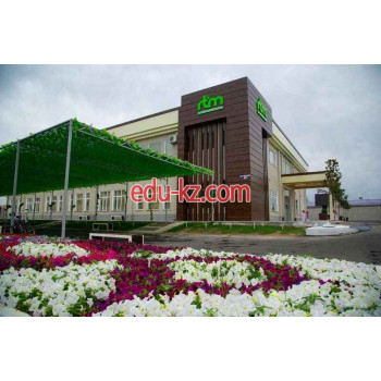 IT-компания - Raqamli texnologiyalar markazi