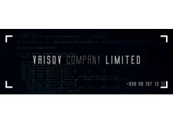 IT-компания - Vaisov Company Limited