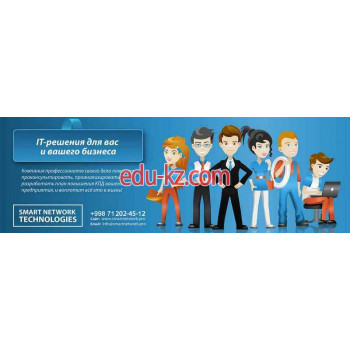 Аутсорсинг - Smart Network Technologies