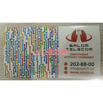 Интернет-провайдер - Salom Telecom