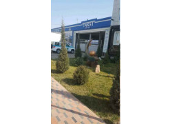 Такси - Такси мчж